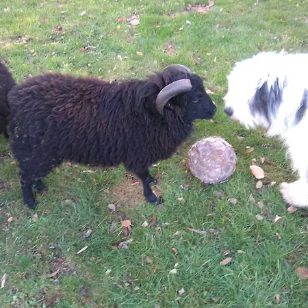 Le Jardin Des Ecureuils Konukevi