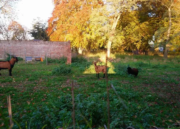 Le Jardin Des Ecureuils *